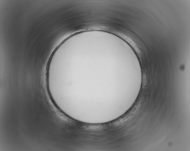 X0000116681047201001251256