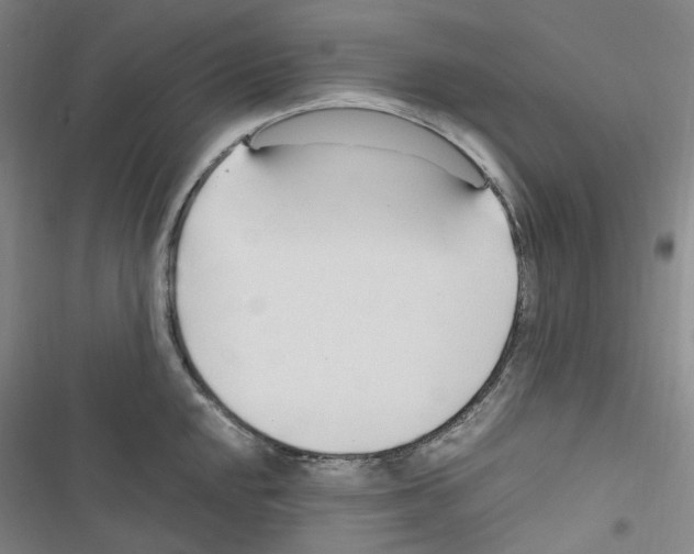 X0000116681048201001251256