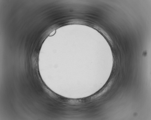 X0000116681049201001251256