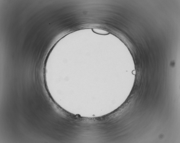 X0000116681050201001251256