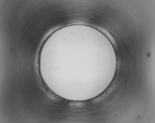 X0000116681051201001251256