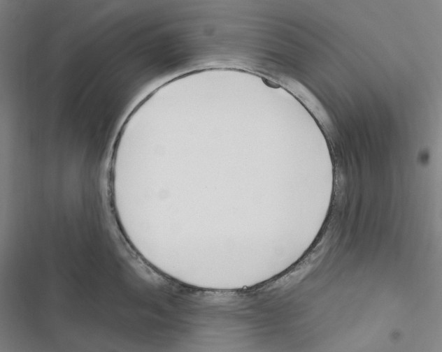 X0000116681052201001251256