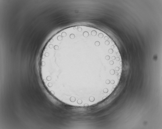 X0000116681054201001251256