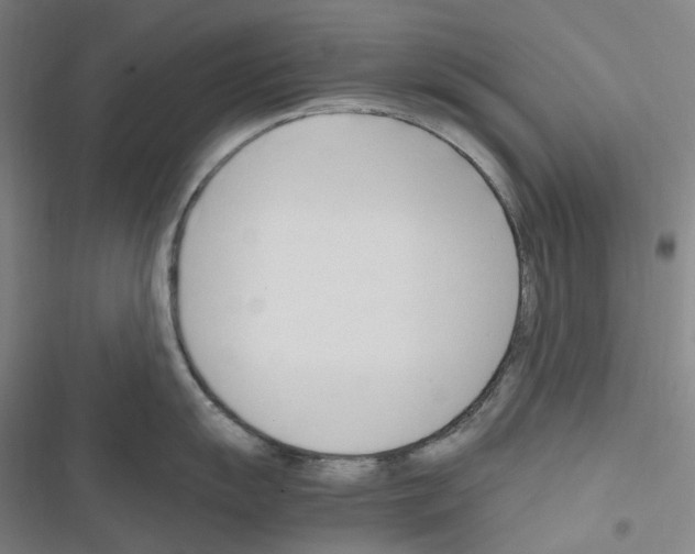 X0000116681055201001251256