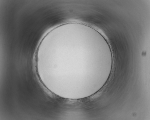 X0000116681056201001251256