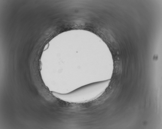 X0000116681057201001251255