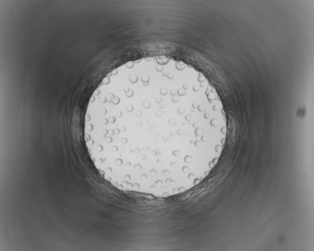 X0000116681058201001251255