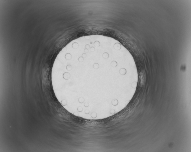 X0000116681059201001251255