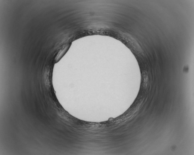 X0000116681060201001251255