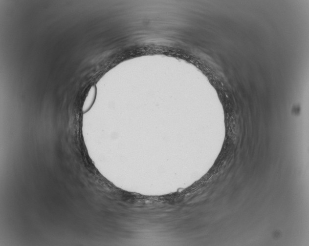 X0000116681061201001251255