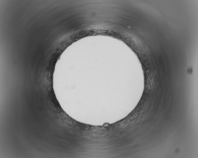 X0000116681062201001251255