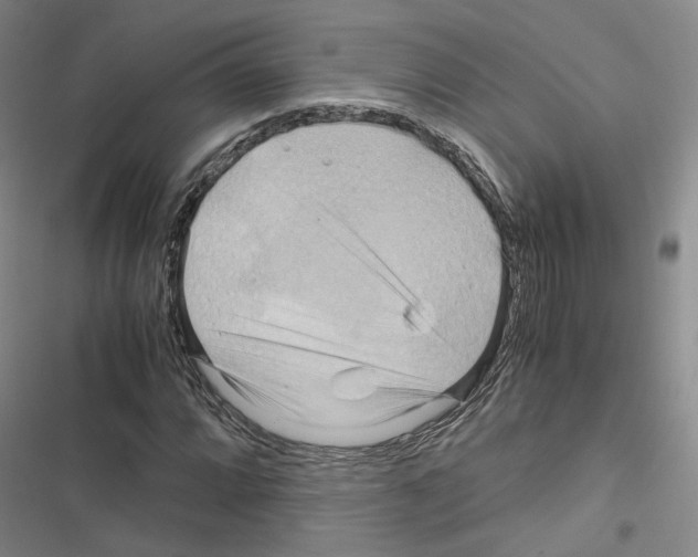 X0000116681064201001251255