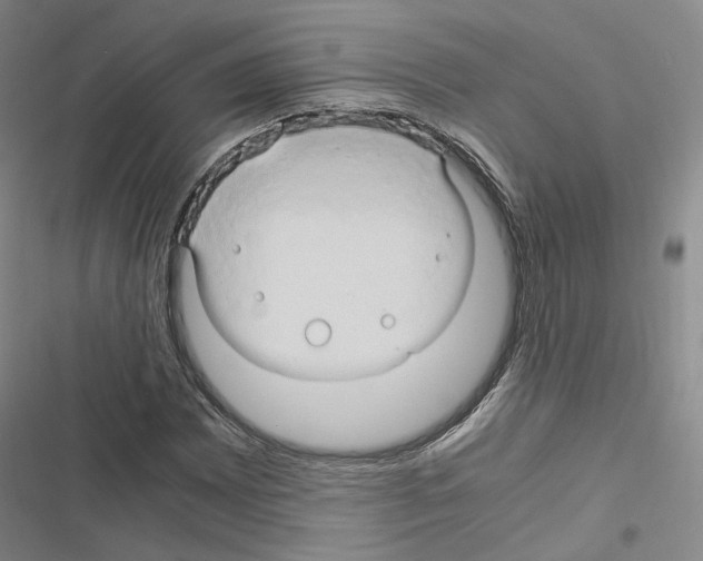 X0000116681065201001251255