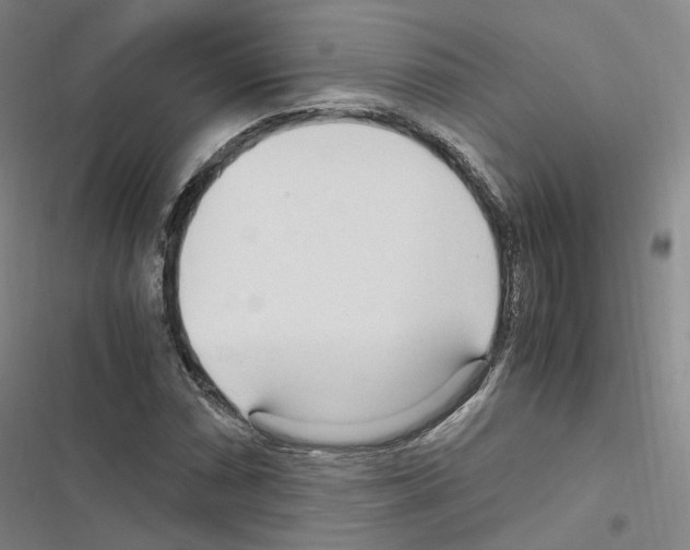 X0000116681066201001251255