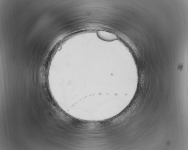 X0000116681067201001251255