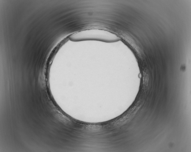 X0000116681068201001251255