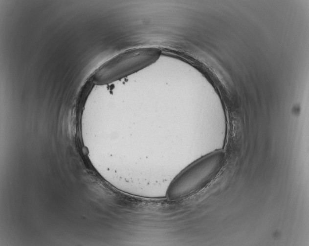 X0000116681069201001251255