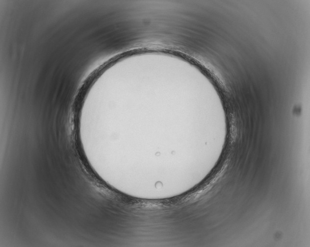 X0000116681070201001251255