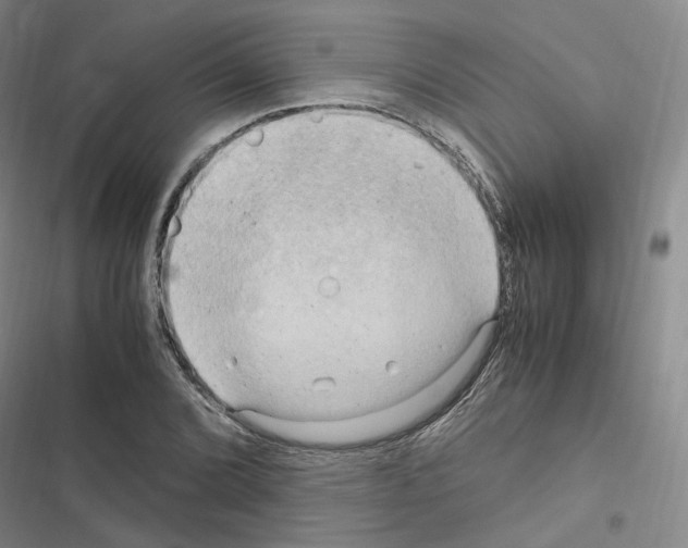 X0000116681072201001251255