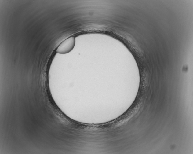 X0000116681073201001251255