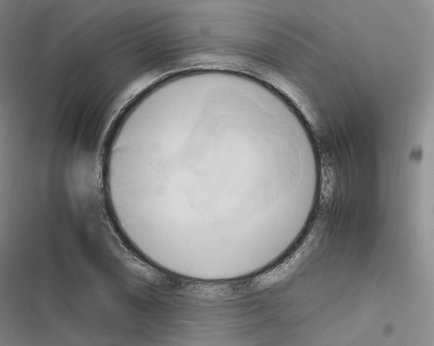 X0000116681074201001251255