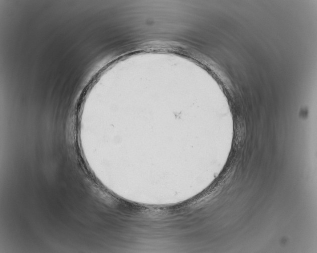 X0000116681075201001251255