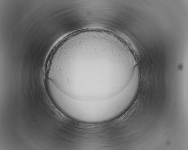 X0000116681076201001251255