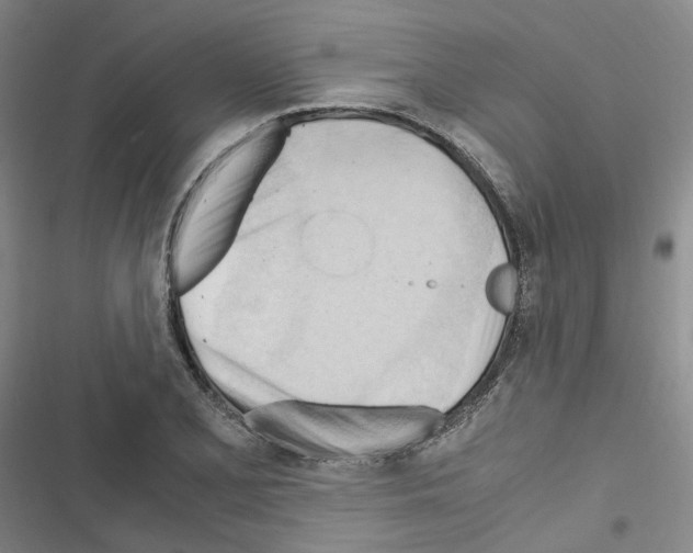 X0000116681077201001251255