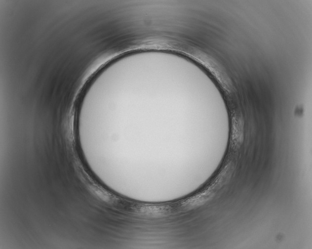 X0000116681078201001251255