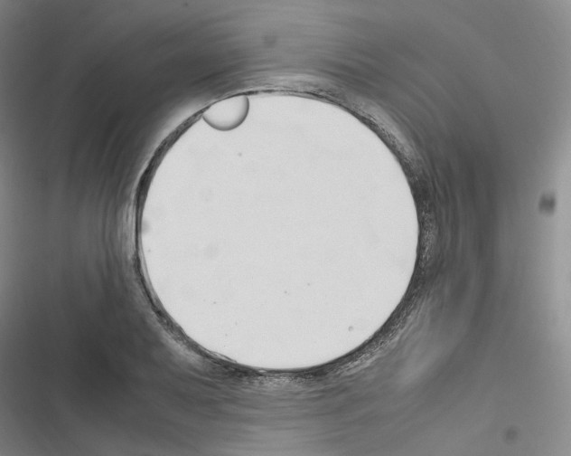 X0000116681079201001251255