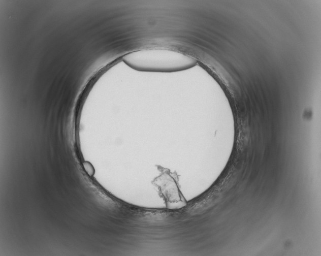 X0000116681080201001251255