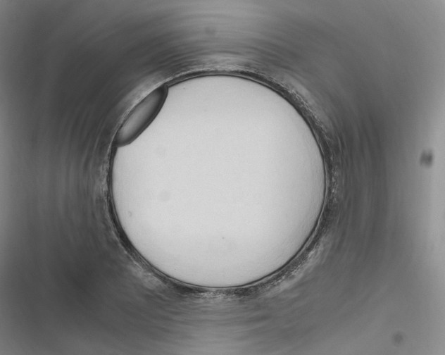 X0000116681081201001251255