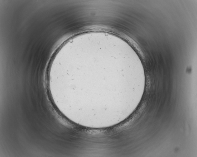 X0000116681082201001251255