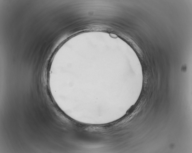 X0000116681083201001251255