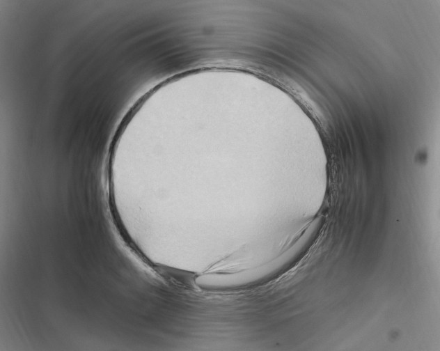 X0000116681084201001251255