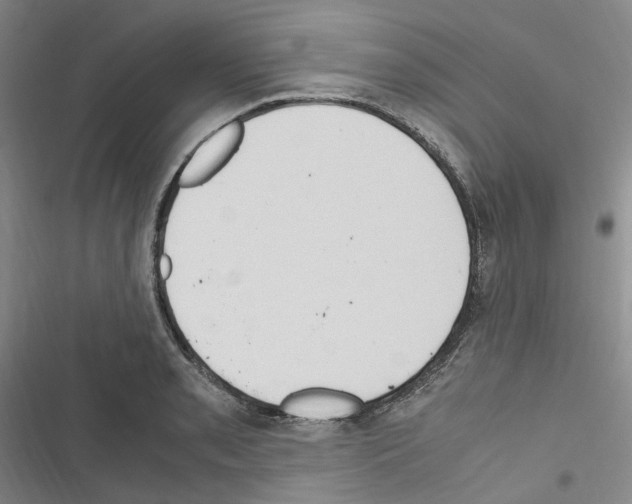 X0000116681085201001251255