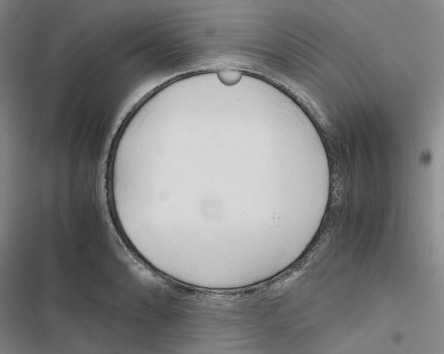 X0000116681086201001251255