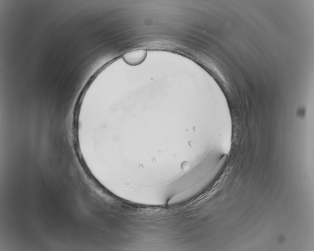 X0000116681087201001251255