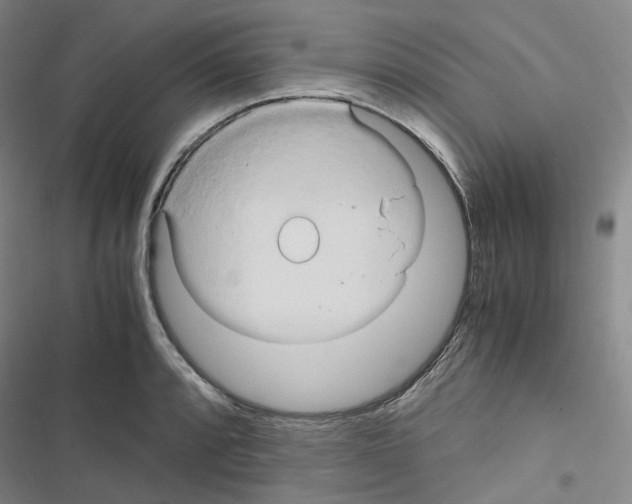 X0000116681088201001251255