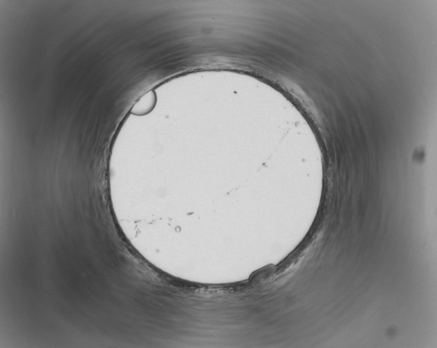 X0000116681089201001251255