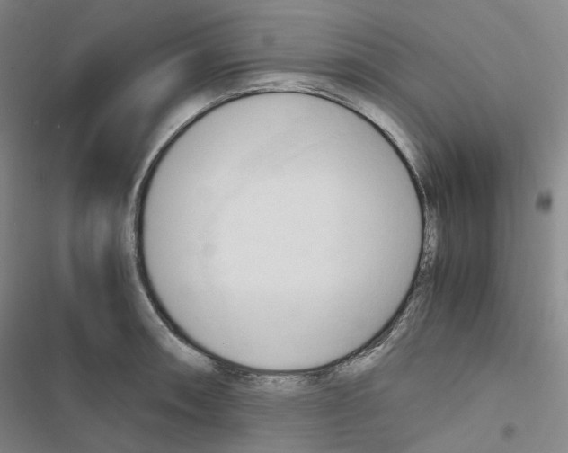 X0000116681090201001251255