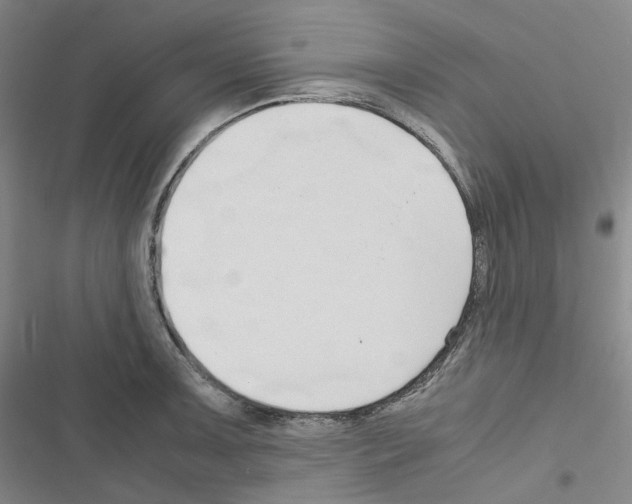 X0000116681091201001251255