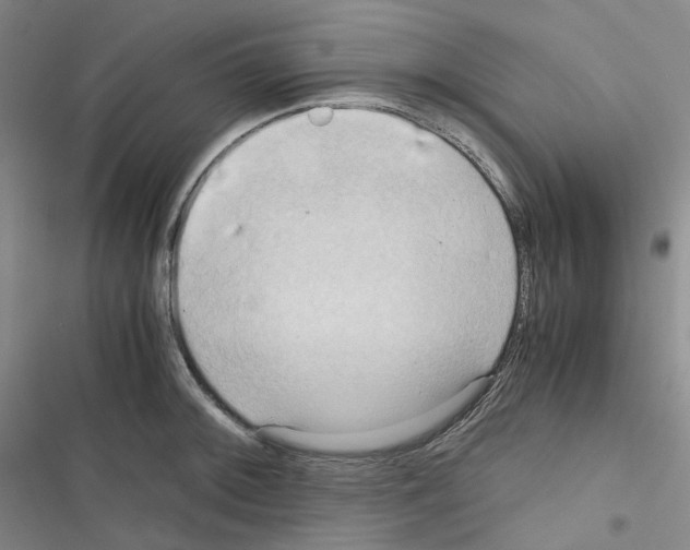 X0000116681092201001251255