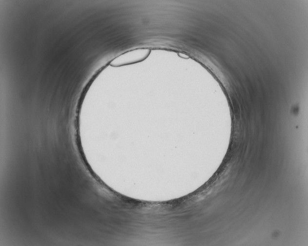 X0000116681093201001251255