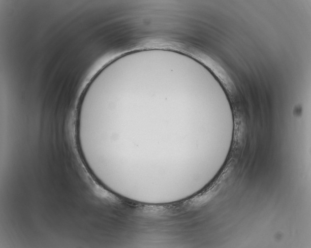 X0000116681094201001251255