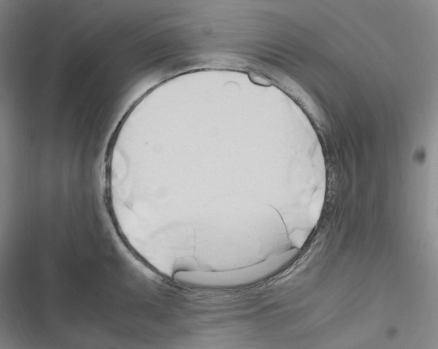 X0000116681095201001251255