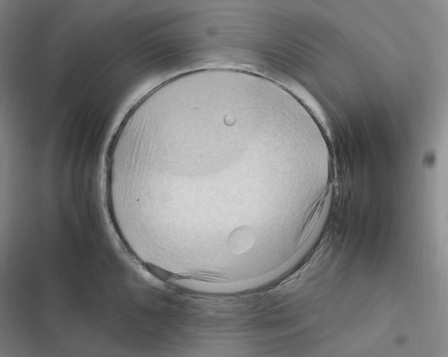 X0000116681096201001251255