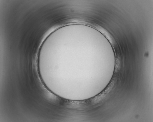 X0000116681098201001251255