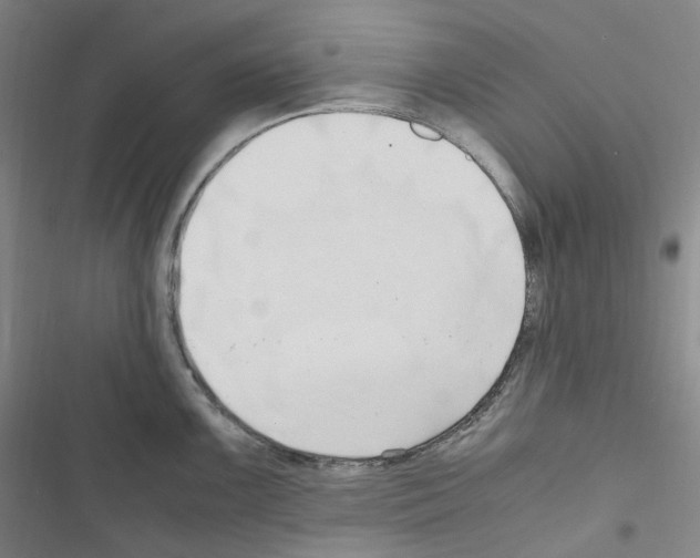 X0000116681099201001251255