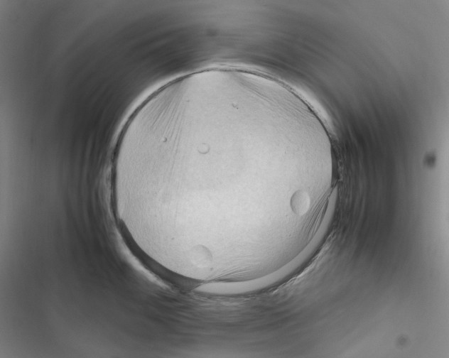 X0000116681100201001251255